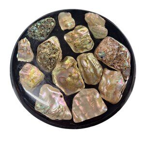 Abalone Black Shell Mother of Pearl Sea Ocean Vintage Resin Nautical Retro Stand